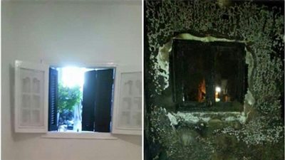 بالصور.. حملة 