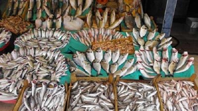 30 جنيهًا لكيلو البوري بسوق العبور اليوم