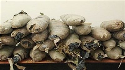 القبض على 4 أشخاص بحوزتهم 13 كيلو بانجو بالمرج