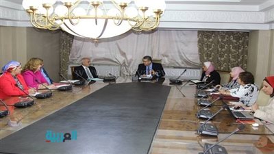 الشيحي: طاقة استيعاب العمل بالمؤسسات الحكومية بلغت أقصاها