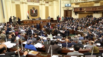 أستاذ علوم سياسية: على البرلمان أخذ وقته كاملًا للنهوض بالدولة