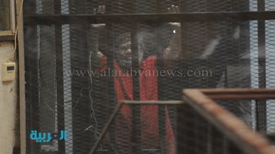 أستاذ قانون دولي: أحكام 