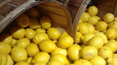 بعد براغيت محافظ السويس.. 