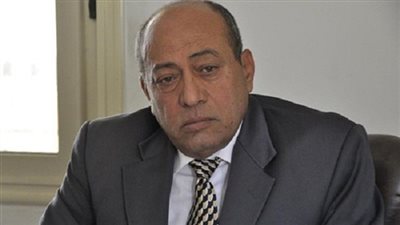 خبير: مطالبات تولي الجيش للهيئات المدنية يرجع للإنضباط