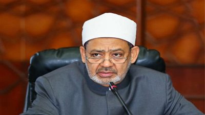 الإمام الأكبر: العلماء مقصرون في تبليغ الدعوة الإسلامية