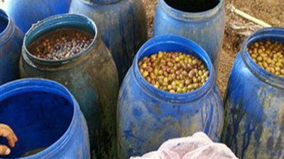 ضبط 11 طن مخللات وملح طعام فاسد داخل مخزن بسوهاج