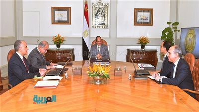 السيسي يوجه بإزالة التعديات على مجرى النيل والقنوات المائية