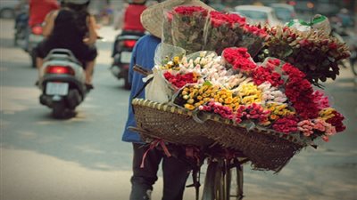 شوف الزهور واتعلم.. بائع الورد مشروع لكسب لقمة العيش في غزة