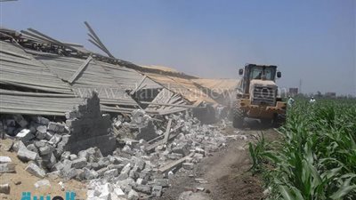 بالصور.. إزالة 54 حالة تعدي على الأراضي الزراعية بطوخ