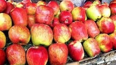 التفاح البلدي يسجل 6.5 جنيه بسوق العبور اليوم