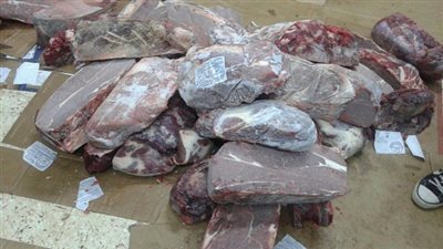 ضبط 27 طن لحوم فاسدة بالجيزة 