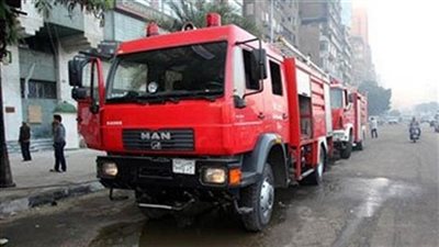 الحماية المدنية ترفع شجرة سقطت بشارع المراغي في العجوزة 