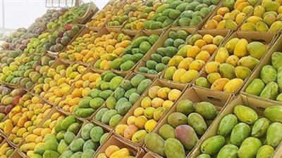 المانجو البلدي يسجل 4 جنيهات بسوق العبور