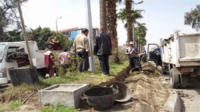 وضع تشكيلات من الزهور بميادين الجيزة احتفالاً بـ