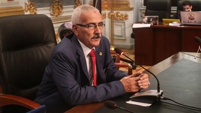 برلماني: الأوضاع في مصر لا تزال بحاجة إلى الاعتماد على الجيش