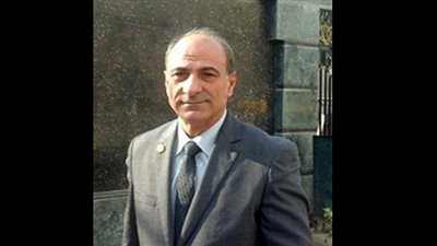 برلماني: الشباب المصري 