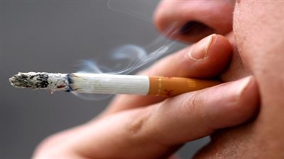  ناصر لوزة: 33.3% من الذكور المصريين يدخنون بنسبة كبيرة