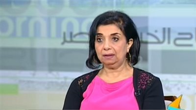 أستاذة علوم سياسية: مفهوم الدولة الدينية في مصر 