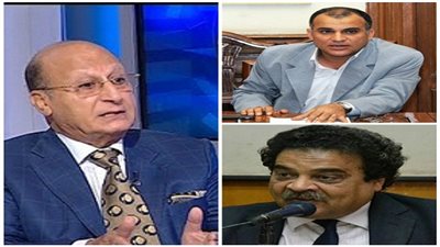 حكومات ما بعد 3 يوليو.. فشلت في تحقيق الديمقراطية.. ومكبلة اليدين.. خبراء: أداؤها ضعيف وغير مرضٍ.. وآخرون: القيود الداخلية والخارجية تعيق تقدمها