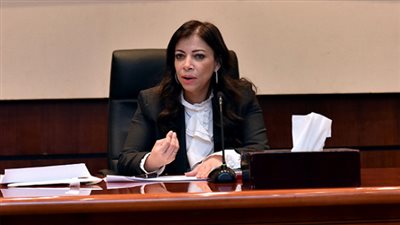 رشاد عبده: وزيرا الاستثمار والأعمال فشلا في احتواء الأزمات الاقتصادية