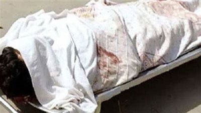 عاملان يقتلان صديقهما بطلق ناري بإمبابة 