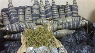 ضبط 1300 كيلو بانجو مخبأة داخل مخزن بجنوب سيناء 