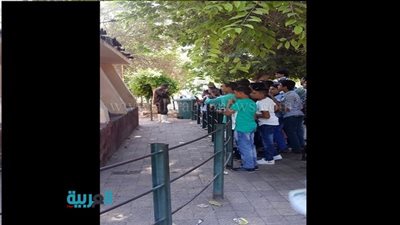 تجمهر رواد حديقة الحيوان أمام الركون والثعلب 