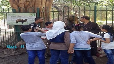 رجائي: لا توجد حالات تحرش داخل أسوار حديقة الحيوان 