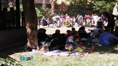 بالصور.. الأطفال يزينون حديقة الحيوان في ثاني أيام عيد الفطر