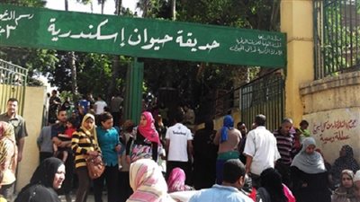 تطوير حديقة حيوان الإسكندرية بتكلفة 5 ملايين جنيه