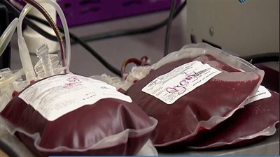 بالفيديو.. إنشاء أول مركز للتبرع بالدم للحيوانات في بولندا