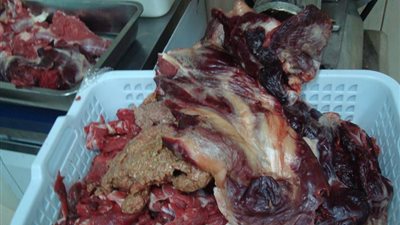 إعدام 1109 كيلو لحوم فاسدة بالدقهلية