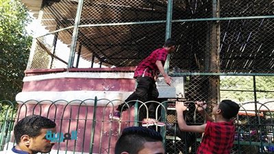 بالصور.. طرائف وعجائب لن تراها إلا في حديقة الحيوان