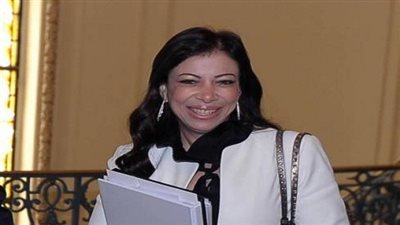 ارتفاع صافي الاستثمارات الأجنبية في مصر بنسبة 13.7%