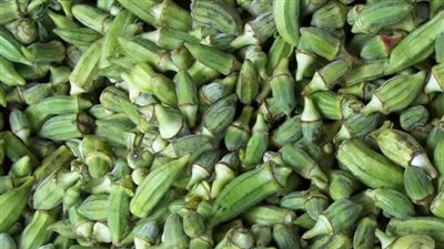 البامية تسجل 20 جنيهًا في القاهرة