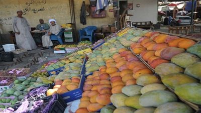 20 جنيهًا لكيلو المانجو البلدي في الوادي الجديد