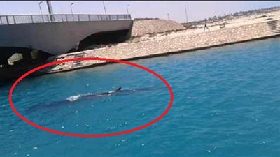 ننشر موجزًا بأهم ما جاء ببرامج الـ