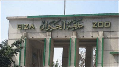  حديقة الحيوان تستورد الدب الروسي بربع مليون جنيه