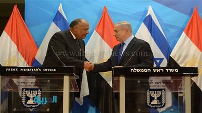 وزير الخارجية: مصر تسعى لوضع حد نهائي للصراع العربي الإسرائيلي