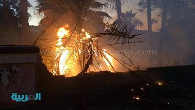 ننشر موجزًا بأهم الأخبار اليوم الأحد 