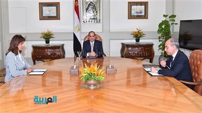 السيسي يؤكد على أهمية استمرار جهود رعاية المصريين في الخارج