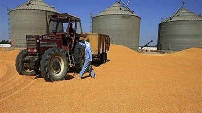 بالفيديو.. برلماني: 