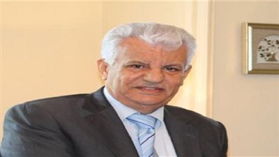 جمال الشوبكي: لمصر دور محوري في تحريك عملية السلام