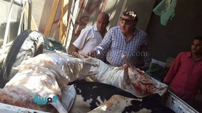 بالصور.. ضبط مزرعة ممتلئة باللحوم النافقة في الفيوم