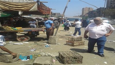 بالصور.. تحرير 26 محضرًا للباعة الجائلين بالمطرية 