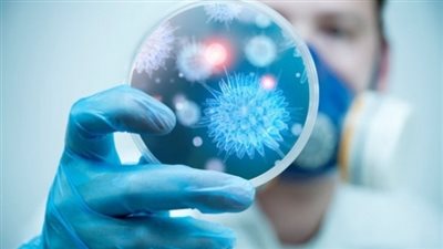 عزالعرب يطالب بمضاعفة مراكز الكبد لعلاج مرضى فيروس سي 