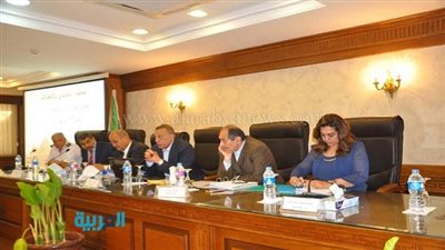 محافظ الجيزة: حملة 