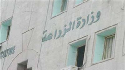 سعيد خليل: 100 مليار جينه فساد داخل وزارة الزراعة