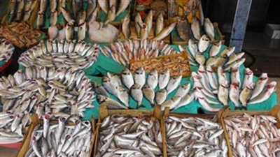 ننشر أسعار الأسماك بسوق العبور
