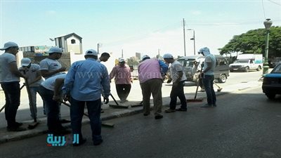 بالصور.. 3 آلاف شجرة وشتلة في 